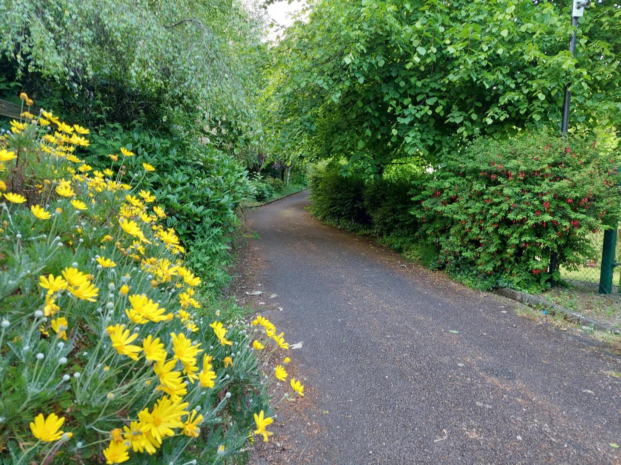 Sea Whispers - My Charming Costal Retreat In Youghal Exterior foto